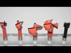 Il carburo di tungsteno dello stinco 10x20mm ha inserito il tagliente di legno del foro di punta